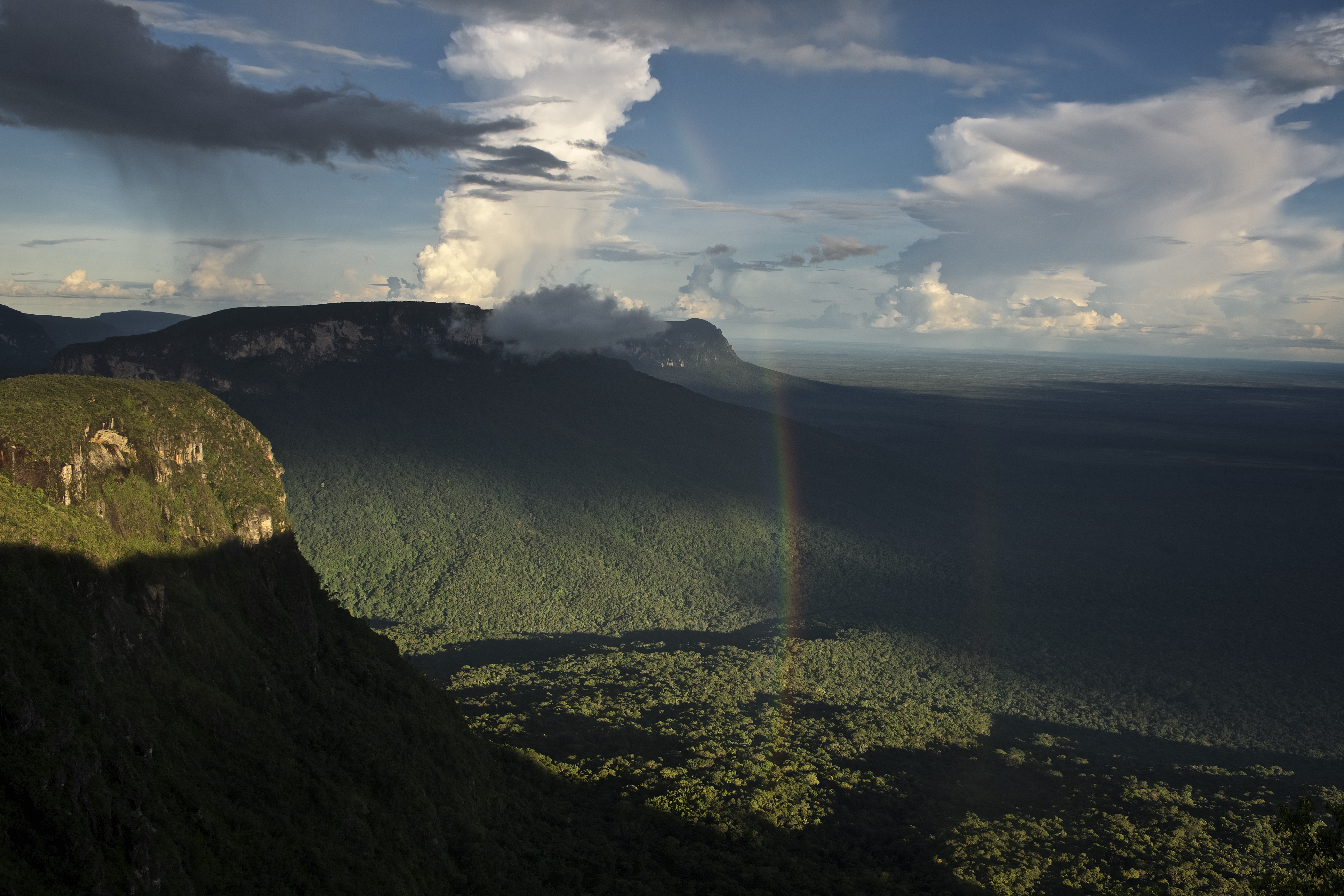 2_Tropical Forest Amazonia