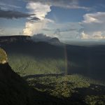 2_Tropical Forest Amazonia