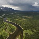 5_Boreal Forest Ural Russia